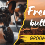 French Bulldog Grooming