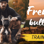 French Bulldog Training